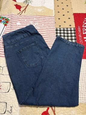 Ruby Rd. Plus Size pull on Blue Denim Jeans
